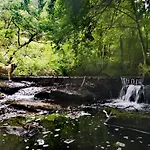 Haraneko Errota Goiatzena