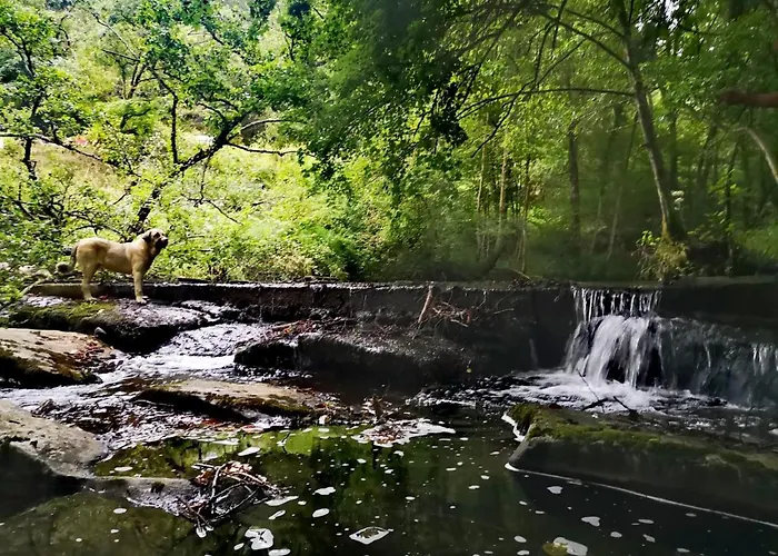Haraneko Errota Goiatzena