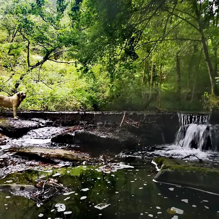 Haraneko Errota Goiatzena